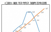 해외 직구 급성장하는 사이…역직구 수출 규모는 감소