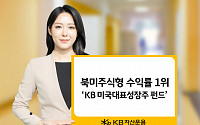 KB자산운용 미국대표성장주 펀드, 북미주식형 수익률 1위