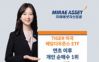 미래에셋 ‘TIGER 미국배당다우존스 ETF’ 연초 이후 개인 6749억 ‘뭉칫돈’