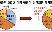 대기업 10곳 중 6곳 “하반기 신규채용 없거나 계획 미정”