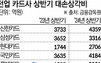 '빚 돌려막기도 한계왔나' 카드사 상반기 '떼인 돈'만 2조