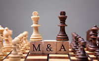 금리 인하 조짐에 M&A 시장 '꿈틀'…M&A 분쟁 막는 보험 뜬다