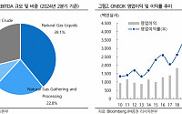iM증권 &quot;ONEOK, 전력 수요 증가 속 기대되는 천연가스 미드스트림 업체&quot;