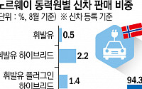 [종합] 전 세계 ‘캐즘’ 앓는데…노르웨이, 신차 94%가 전기차