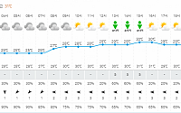 [내일 날씨] 전국 소나기…낮 최고기온 33도 평년 수준