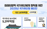 내년 국가유산청 예산 1.3조…보수정비에만 5000억 원 [2025년 예산]