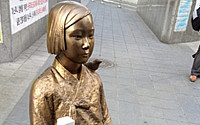 '충격'  위안부 소녀상 말뚝 테러...日 '다케시마는 일본땅'