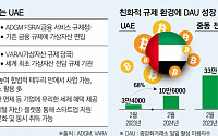 석유로 돈 번 UAE ‘블록체인’ 낙점…규제 안정성·세제 혜택까지 [新화폐전쟁 가상자산 줄다리기]