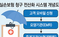 [단독]실손청구 전산화 구축비 분담률 손보 75% 생보 25% 가닥