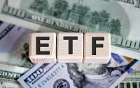 주식과 ETF, '상장폐지' 운명은 같아도 가는 길이 다른 이유는