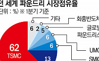 [종합] UAE, ‘중동 AI 메카’ 야망…“삼성·TSMC, 대규모 반도체 공장 건설 논의”