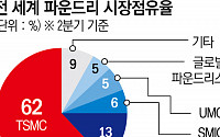 [종합] UAE, ‘중동 AI 메카’ 야망…“삼성·TSMC, 대규모 반도체 공장 건설 논의”