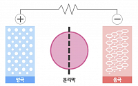 전기차 배터리의 ‘안전핀’ 분리막 [모빌리티]