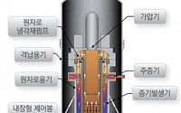 한국 독자 개발 i-SMR 관심 보인 짐바브웨…기술 개발 맞춰 협력 제안