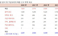 최수진 의원 "구글코리아 법인세 6000억 원 이상 더 내야"