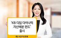 KB운용 ‘KB 디딤 다이나믹 자산배분 펀드’ 출시