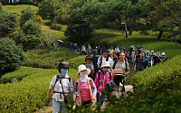 산림청 동서트레일, 세계인 사로잡는 관광명소로!