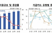 상반기 신용카드 일평균 사용액 2.7조…“민간소비 회복세 지연 영향 증가세 둔화”