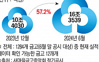 [단독]6개월 새 불어난 부실채권만 16.4조…'제2 뱅크런' 올 수도[새마을금고, 더 나빠졌다上]