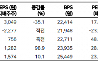 &quot;카카오, 3분기 실적 기대치 밑돌듯…AI 성과 내년 성장률 결정&quot;