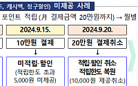 &quot;결제 취소로 한도 남았는데 미적립&quot; 금감원, 신용카드사 부가서비스 관행 개선