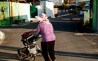 100세 이상 인구, 전국 7000명 돌파… 장수마을 1위는 전남 고흥