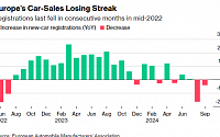 유럽, 자동차 판매량 2년만에 첫 2개월 연속 감소…전기차 판매량 2.6%↓