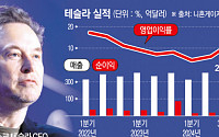 테슬라, ‘깜짝 실적’에 주가 급등…머스크 “내년 미국서 로보택시 서비스”