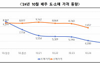 김장철 앞두고 배추가격 하락세…소매 7000원ㆍ도매 3000원대 진입