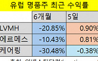 꿈틀하는 글로벌 명품株…명품 가방 대신 담아볼까