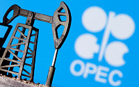 OPEC+, 12월 증산 계획 1달 연기키로 합의