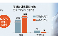 백화점 관심없는 김동선…‘명품 성지’ 갤러리아, 본업 경쟁력 추락