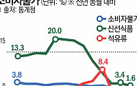 10월 물가 1.3% 상승, 3년 9개월 만에 최저...석유류 하락 영향 [종합]