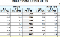 금융복합기업집단, 자본적정성비율 184.3%…전년比 9.4%p↓