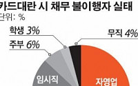 고위험군 자영업자, 현금서비스 일반의 10배