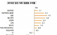 트럼프 머스크 만세! 부르는 서학개미, 추격 매수 해?