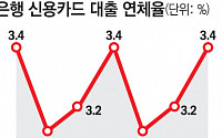 8월 카드론ㆍ현금서비스 연체율 10년래 최고치…올 들어 3번째