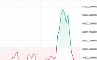 비트코인, 사상 첫 8만 달러 돌파…8만1000달러도 넘어서