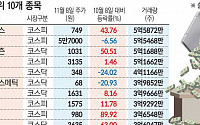 주도주 부재에 테마주 활개…‘투자경고’ 주의보