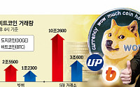 비트코인 압도한 ‘도지코인’, 韓시장 하루 11조 거래…비트코인은 숨고르기