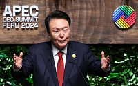 尹, APEC CEO 서밋서 'APEC AI 표준 포럼' 제안...내년 경주 행사 동참 당부