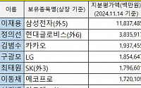 41개 주요그룹 총수 주식가치 2조 넘게 줄었다[회장님 주식재산]①