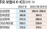 “두 마리 토끼 다 잡아야”…이중고 시달리는 보험사 [새 회계 증후군上]