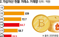 트럼프發 코인 르네상스…'갈라파고스 韓' 투자자 해외에 다 뺏긴다