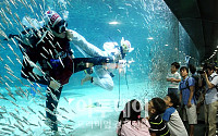 [포토]물속에서 열리는 코엑스 아쿠아림픽