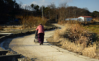 우리나라 노인 빈곤율 2년 연속 악화… 10명 중 4명 빈곤층