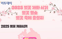 2025 벚꽃 개화 시기·벚꽃 명소·벚꽃 축제 총정리 [그래픽 스토리]