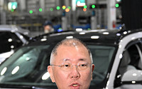 정의선 회장, 대미 관세 협상 지원 위해 방미... 한미 통상전 전면에