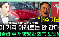 [찐코노미] 테슬라 주가 '이 가격' 아래로는 안 갑니다