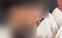 서울 유명 빵집서 진열된 빵에 혀 대는 아이…외국인이 포착?